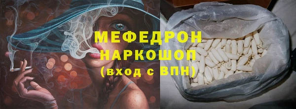 индика Пенза