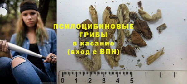 твердый Гусев