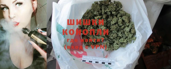 твердый Гусев