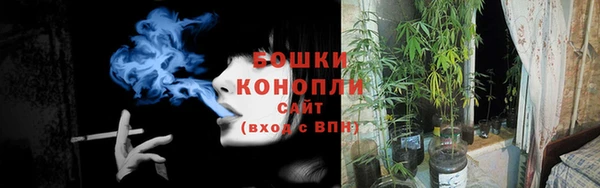 не бодяженный Киров