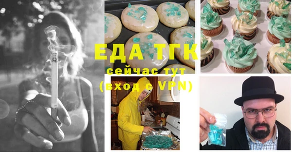твердый Гусев