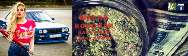 индика Пенза