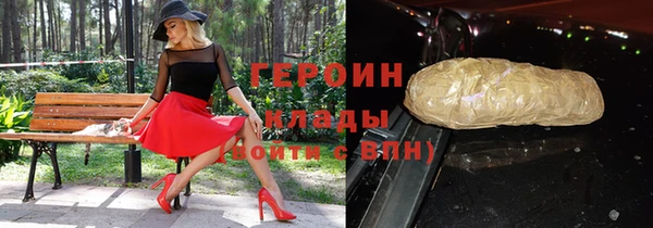 твердый Гусев
