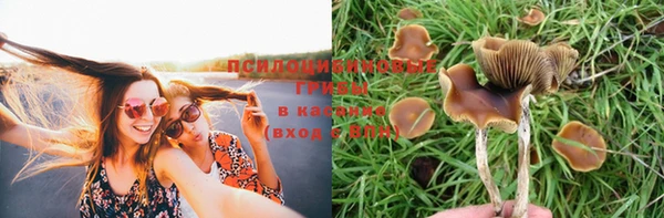 твердый Гусев