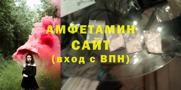 твердый Гусев