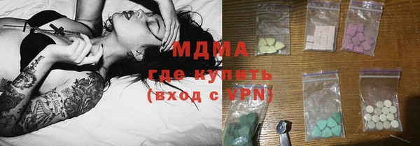 твердый Гусев