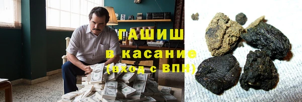 твердый Гусев