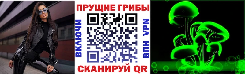 Галлюциногенные грибы Psilocybe Новый Оскол